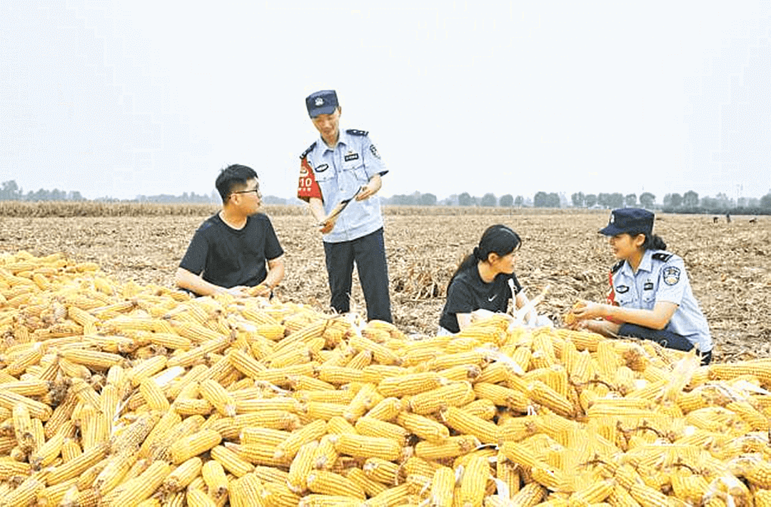 临沂郯城：秋收忙  “警”相伴！